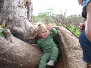 On vacation in a baobab tree.