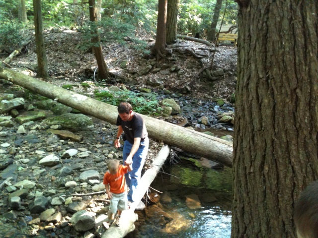 Climbing logs in the river at a PA state park.